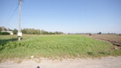 Działka rolno budowlana 96a Rudka Gołębska - 9