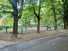 3 pokojowe super lokalizacja ul.Urbanowska Sołacz - 12