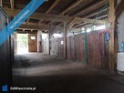 Sprzedam gospodarstwo rolne# stajnię# siedlisko #mieszkanie - 3