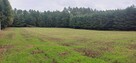 Działka rolno-leśna Stare Lipki - 2
