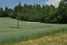 Działka inwestycyjna Brzezie gm. Kłaj - 5