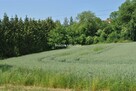Działka inwestycyjna Brzezie gm. Kłaj - 8
