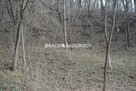 Działka leśna Malkowice gm. Koszyce - 6