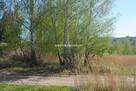 Działka budowlana Przebieczany gm. Biskupice - 9