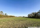 Działka 47 ar, Pustków, gm. Dębica - 11