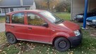 Panda 1.1 gaz - 3