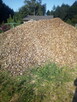 Spalinowy rozdrabniacz do gałęzi - 11
