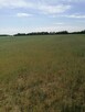 Udział w nieruchomości gruntowej niezabudowanej - Parczew - 7