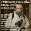 Dezynsekcja zwalczająca prusaki i karaluchy - 2