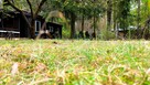 Malownicza działka nad rzeką Bug – Kania Polska - 10