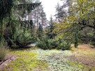 Malownicza działka nad rzeką Bug – Kania Polska - 11