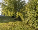 Podkarczówka – 3 pokoje, 70 m², balkon - 11