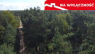 Działka letniskowa 800 m2 w Woli Chodkowskiej. - 12
