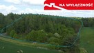 Działka 2,15 ha z potencjałem koło Nałęczowa. - 2