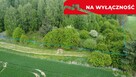 Działka 2,15 ha z potencjałem koło Nałęczowa. - 5