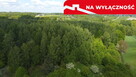 Działka 2,15 ha z potencjałem koło Nałęczowa. - 10