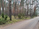 Działka leśna z możliwością zabudowy w MPZP - 3