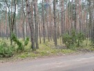 Działka leśna z możliwością zabudowy w MPZP - 4