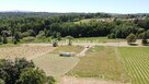 Działka budowlana Olchawa gm. Nowy Wiśnicz - 13