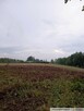 Działki budowlane, Góra Motyczna, gm. Żyraków - 5