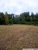 Działki budowlane, Góra Motyczna, gm. Żyraków - 7