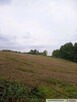 Działki budowlane, Góra Motyczna, gm. Żyraków - 8