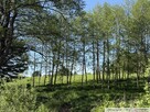 Działki budowlane, Góra Motyczna, gm. Żyraków - 9