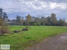 Działka budowlana Daleszyce Suków - 3