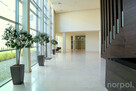 Angel Plaza, Zwierzyniecka, 2 pokoje, balkon, klimatyzacja, jacuzzi, siłownia - 2