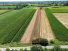 Działka rolna Popędzyna gm. Szczurowa - 1