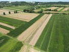 Działka rolna Popędzyna gm. Szczurowa - 2