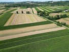 Działka rolna Popędzyna gm. Szczurowa - 9
