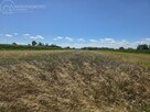 Działka rolna Popędzyna gm. Szczurowa - 10