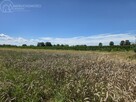 Działka rolna Popędzyna gm. Szczurowa - 11