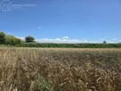 Działka rolna Popędzyna gm. Szczurowa - 12