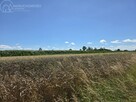 Działka rolna Popędzyna gm. Szczurowa - 15