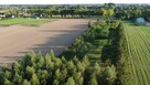 Działka budowlano-rekreacyjna Jarszewo - 4