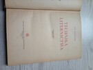 TECHNIKA LITERNICTWA - 2