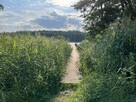 Dzialka inwestycyjna z linią brzegową! - 8