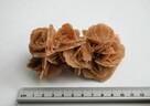 Róża pustyni, kamień, Sahara, 10 cm i 8,3 cm. - 6