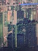 Sprzedam ziemię, działki, warunki zabudowy -2,59 ha z lasem - 2