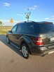 Mercedes ML 320 - 10