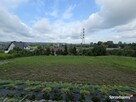 Działka budowlana Nowy Sącz Chełmiec 14ar z pozwoleniem - 4
