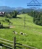 Dom Zakopane - 6