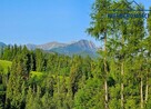 Dom Zakopane - 14