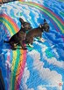 Suczki chihuahua - 3