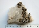 Kryształ górski, piryt szczotka naturalny Bułgaria - 6