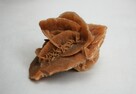 Róża pustyni, kamień, Sahara, 10 cm i 8,3 cm. - 8