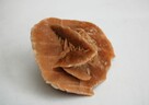 Róża pustyni, kamień, Sahara, 10 cm i 8,3 cm. - 14