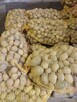 Sprzedam ziemniaki paszowe 20 gr kg